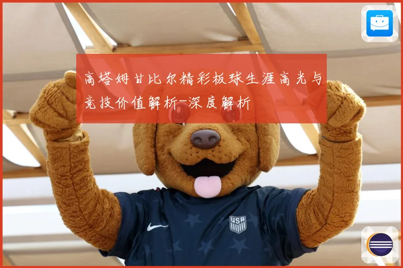 高塔姆甘比尔精彩板球生涯高光与竞技价值解析-深度解析